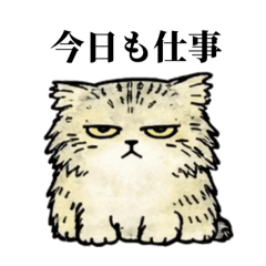 okapi_20251226184405