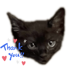 midnight_2025122619451