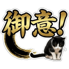 Big Text & Real Cat : Quick Reply