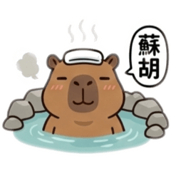 呆萌卡皮巴拉水豚君_（諧音梗貼圖）