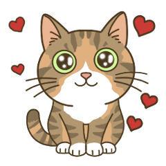 Daily Greetings of a Brown Patched Tabby