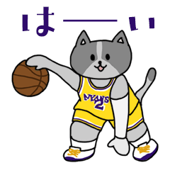 Basket ball cat "NYANS" #2