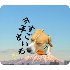 makki_20251226225153