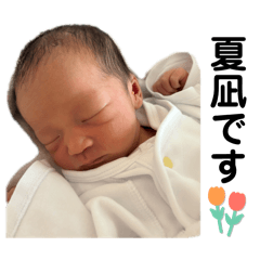 karin_20251228211624