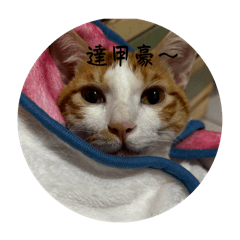 達甲豪～我叫陳一一