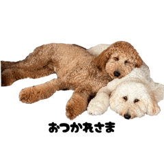 natsu_20251228201053