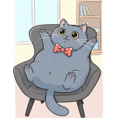 Fat lovely cat