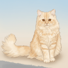 Kids cute cat