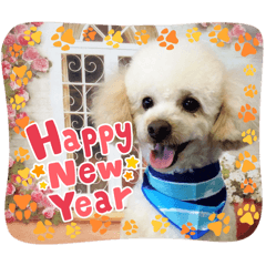 mizuki_20251229030243