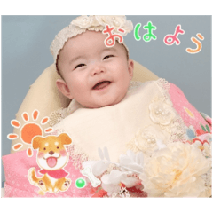 amon_20251228