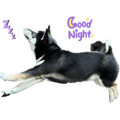 akimi_20251228212835