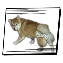 okayu_20251228213419