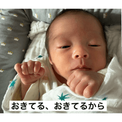 village_20251229012954