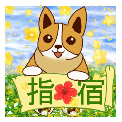 Corgi's : Ibusuki sightseeing