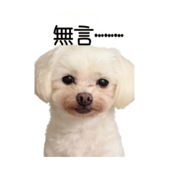 阿星の日常表情包