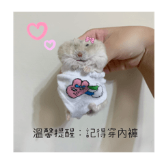 我愛布寶