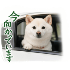 KAORI_20251227140135