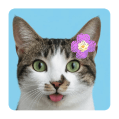 nisisisi_20251227160006