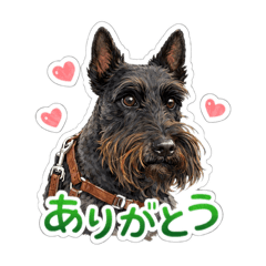 Hideaki_Negishi_20251228222048