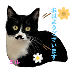 Asuka_20251227155337