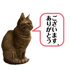 tomoyuki_20251228222824