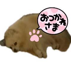 mosakotaro_20251228222904