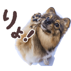 manato14_20251228222702