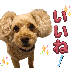 melon_20251228222348