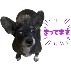 manaca_20251228222839