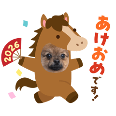 chiroko_20251229082459