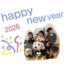 m_coco_20251229082204