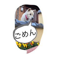 hoshinomama_2025.12-4