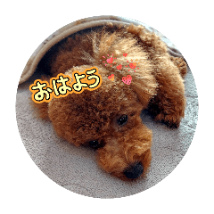 ALOmama_20251229081947