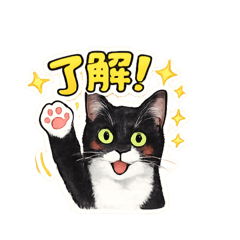 kiiko_20251229102929