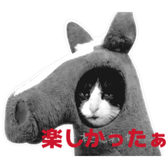 nyanco_20251229104400