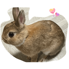 High island new year stamps