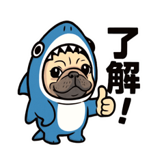 shiro_20251228224423