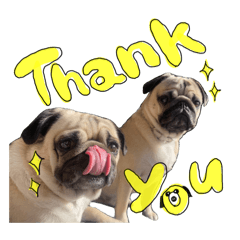 bellbonn_20251228223629