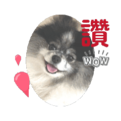 Happiest 2026 Cute Dog Stickers