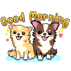 Chicha_20251228211900