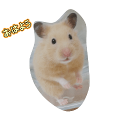 PonPon_20251228230628