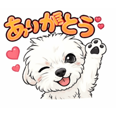 Ayushi_20251227190320