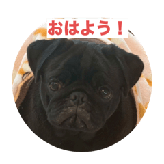 mameta_20251227195320