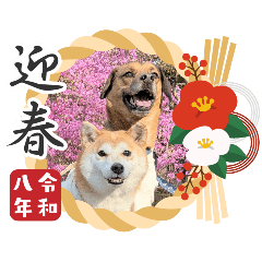 gobo_konsai_20251227211703