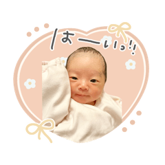 nonnoon_20251229072915