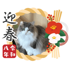 MIE_20251229074707
