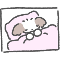 little shih tzu dog 2