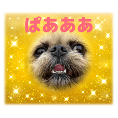 haruna_20251227223936