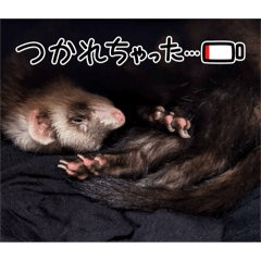 riho_20251227232754