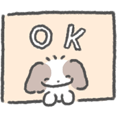 little shih tzu dog 1